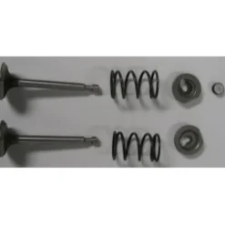 [P54150A] Valve Kit Complete