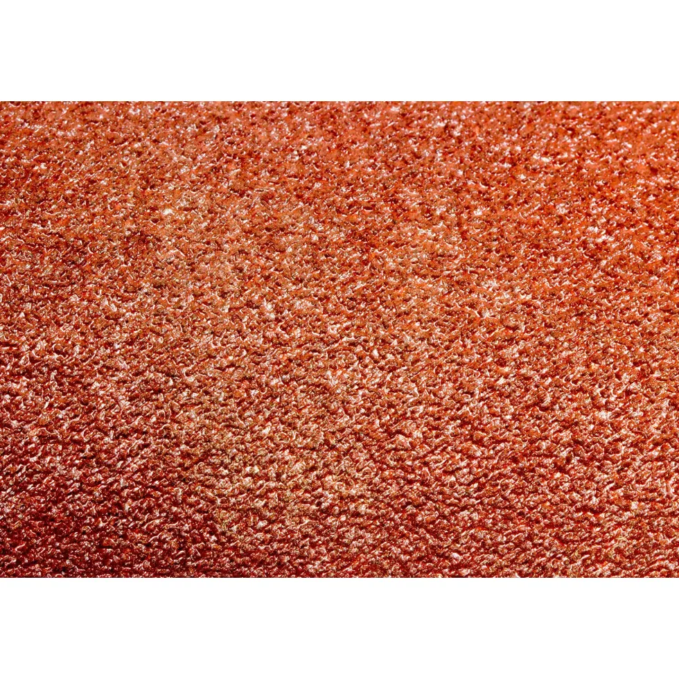 WEN 5SD80 80-Grit Adhesive-Backed 5 in. Disc Sandpaper, 10 Pack