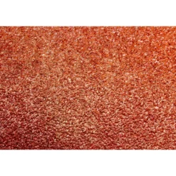 WEN 5SD120 120-Grit Adhesive-Backed 5 in. Disc Sandpaper, 10 Pack